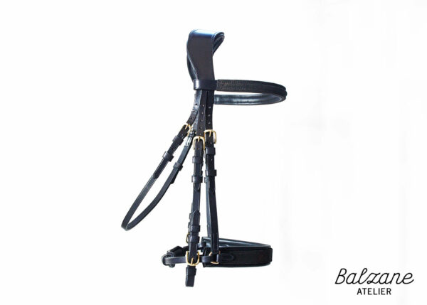 bridon sur mesure cheval