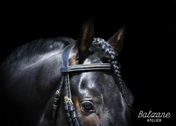 bridon cheval sur-mesure