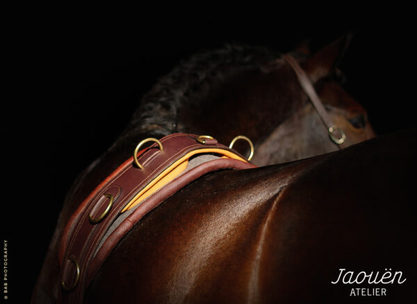 iso-8859-1''surfaix cuir cheval �cuyer-1 (1)