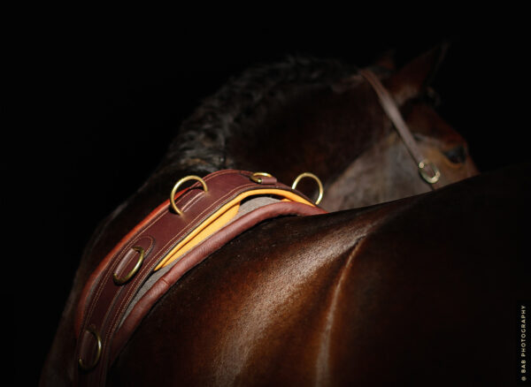 iso-8859-1''surfaix cuir cheval �cuyer-2 (1)