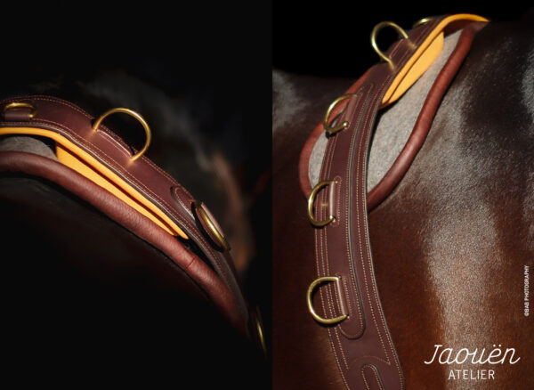 surfaix cuir cheval écuyer-4