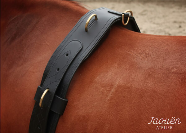 surfaix cuir cheval écuyer-6